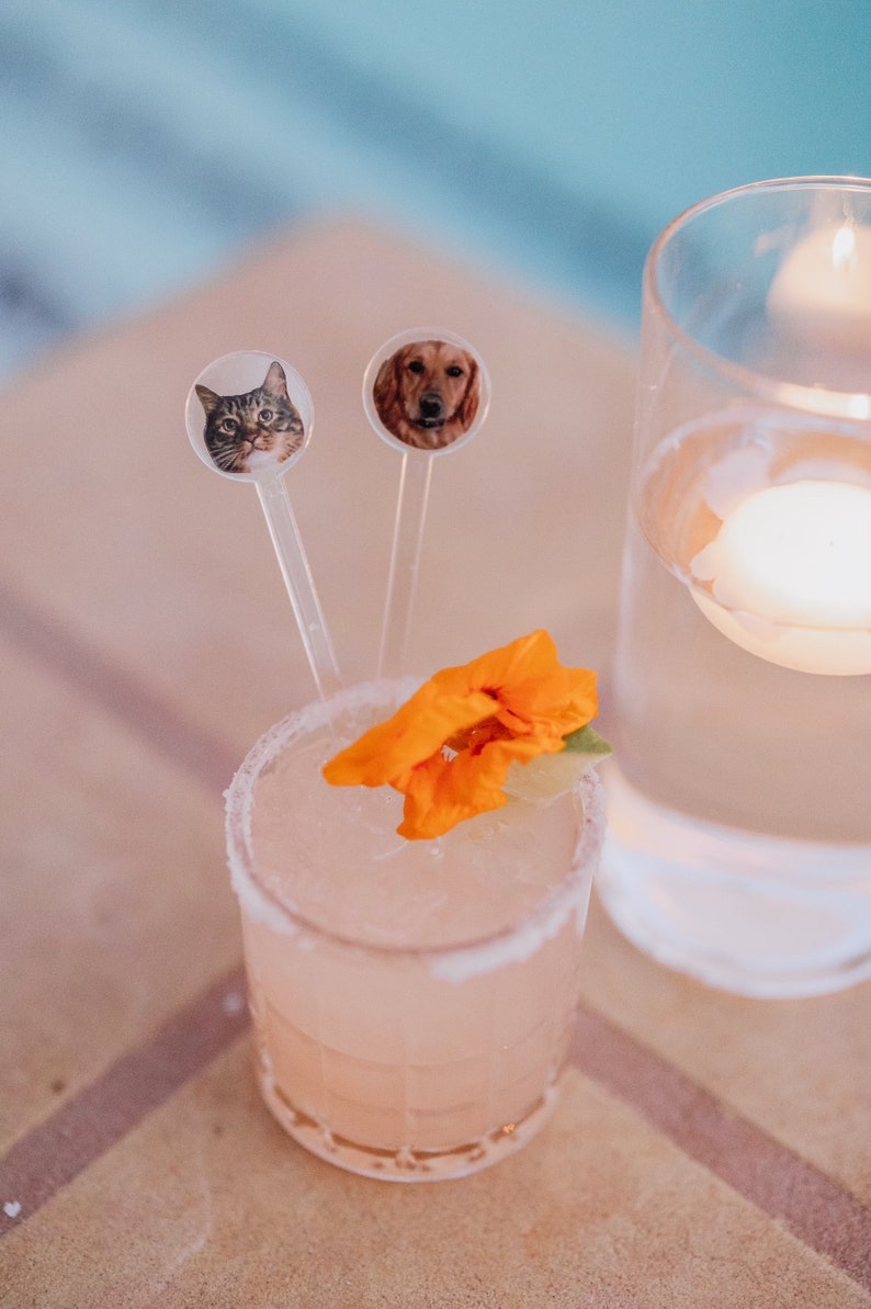 K&ouml;nnte beinhalten: Ein rosa Cocktail mit gesalzenem Rand, garniert mit einer orangefarbenen Bl&uuml;te. Zwei klare Plastikr&uuml;hrst&auml;bchen mit runden Fotoaufs&auml;tzen von einer Katze und einem Hund befinden sich im Getr&auml;nk.