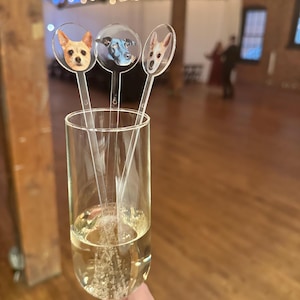 K&ouml;nnte beinhalten: Drei transparente Plastik-Trinkr&uuml;hrer mit runden Foto-Toppern mit Hundefiguren. Die R&uuml;hrer befinden sich in einer Champagnerfl&ouml;te, die mit Sekt gef&uuml;llt ist.