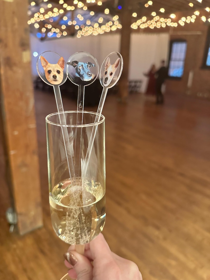 K&ouml;nnte beinhalten: Drei transparente Plastik-Trinkr&uuml;hrer mit runden Foto-Toppern mit Hundefiguren. Die R&uuml;hrer befinden sich in einer Champagnerfl&ouml;te, die mit Sekt gef&uuml;llt ist.