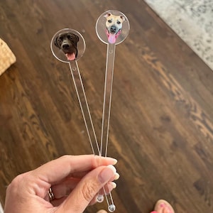 K&ouml;nnte beinhalten: Zwei klare Plastik-Trinkr&uuml;hrer mit runden, bunten Foto-Toppern mit Hundefiguren. Der Hund links ist schwarz und der Hund rechts ist braun.