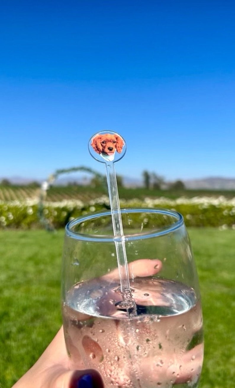 K&ouml;nnte beinhalten: Ein klares Glas gef&uuml;llt mit einem rosa Getr&auml;nk mit Blasen. Ein klarer Plastik-Trinkr&uuml;hrer mit einem runden Aufsatz, der ein gedrucktes Bild eines braunen Hundes zeigt, befindet sich im Glas.