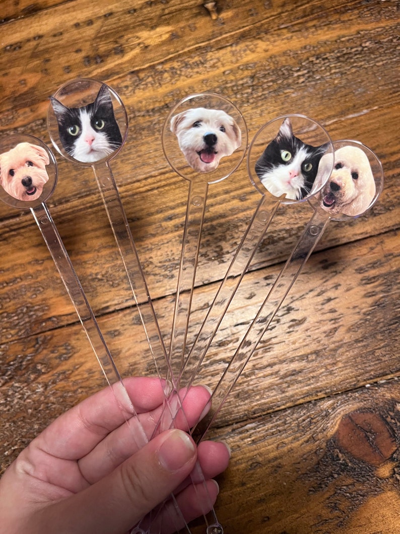 K&ouml;nnte beinhalten: Sechs klare Plastikr&uuml;hrst&auml;bchen mit runden, bunten Foto-Toppern, die die Gesichter von Katzen und Hunden zeigen. Die Topper sind mit einem klaren Kleber an den St&auml;bchen befestigt.