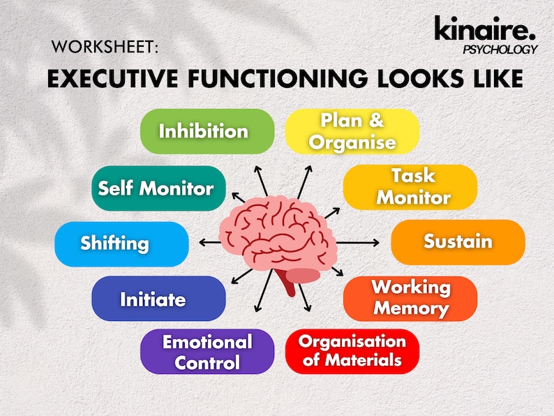 Executive Functioning Looks Like: Psycho-education Identity Worksheet ...