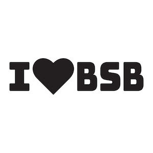 バックストリート ボーイズが大好き、BSB が大好き、AJ が大好き、ブライアンが大好き、ハウィーが大好き、ケビンが大好き、ニックが大好き、SVG、ビニール、バックストリート ボーイズ