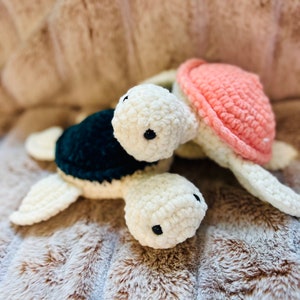 Schildpad