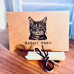 Habari Gani - Deseos de Kwanzaa - Tarjetas de felicitación navideñas - La mejor calidad - Felicitaciones sentimentales - Tarjetas de Katnip Ink