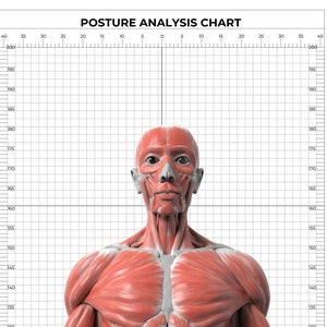 Rejilla de postura: montaje en pared, postura de análisis corporal, fitness, gimnasio, postura, tabla de altura infantil, GİF