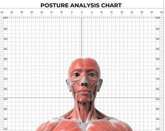 Posture Grid – Wall Mount , body analysis posture , fitness , gym , postur ,child height chart ,GİF