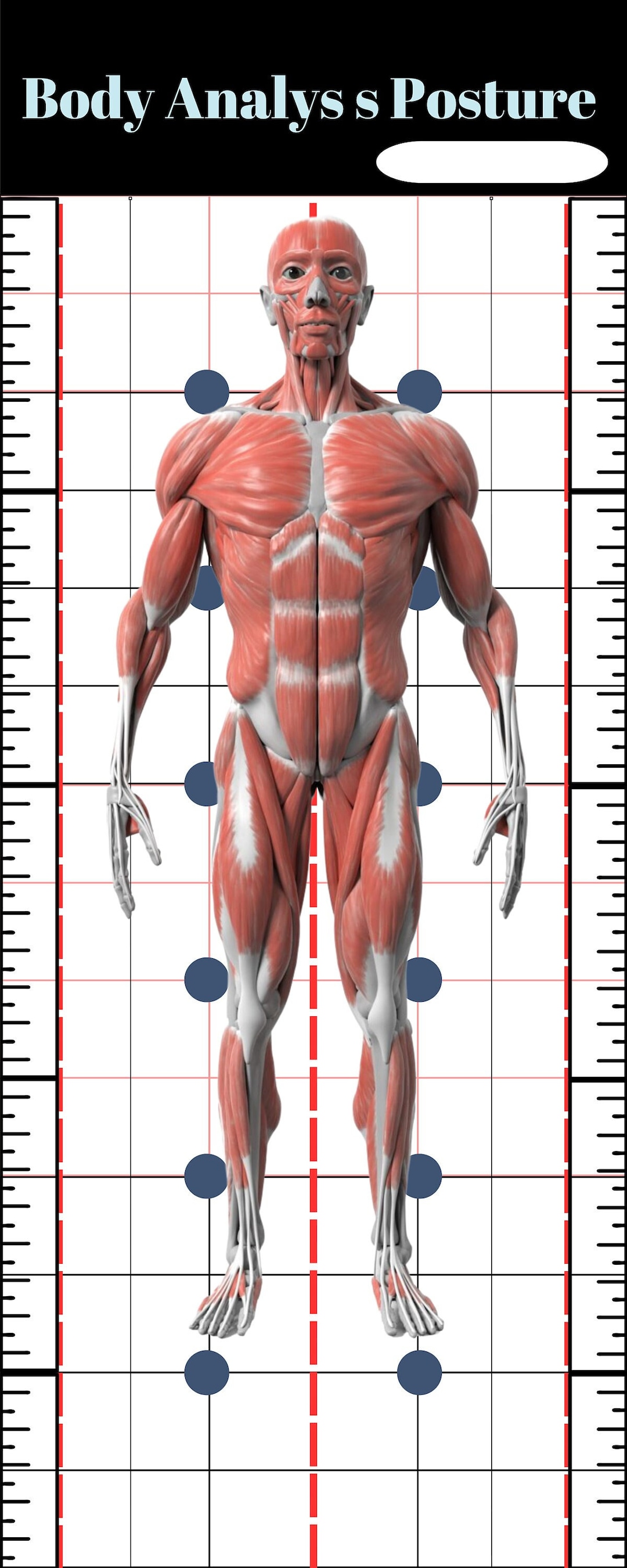 Posture Grid – Wall Mount , Body Analysis Posture , Fitness , Gym ...