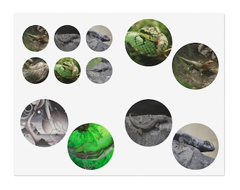 8.5x11 Reptile Photo & Art Sticker Sheets