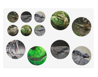 6x4 Reptile Photo & Art Sticker Sheets