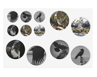 6x4 Bird Photo Sticker Sheets