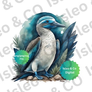 Beleza de pés azuis: download instantâneo em aquarela de design de booby de pés azuis - arte de pássaro majestoso, PNG, JPG, SVG para seus voos artísticos