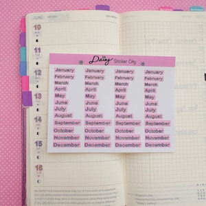 May include: A set of pink and white monthly planner stickers with the word "Dairy Sticker City" printed on the top. The stickers are arranged in a grid with each month of the year listed in a separate sticker.