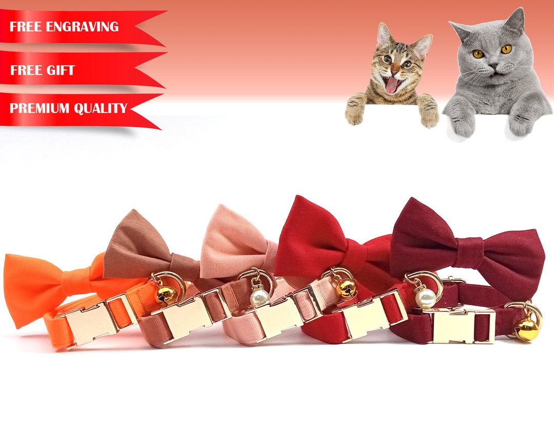 Cat Collar Personalized, Multiple Color Choices L Customized Cat Collar