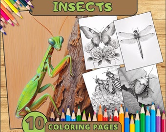 Insects Coloring Pages, Insect Coloring Sheets, Insect Coloring Book, Ladybug Coloring Pages, Animal Coloring Pages, Butterfly Coloring Page