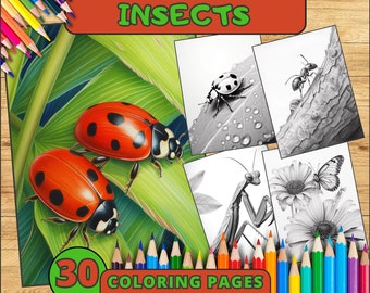 Insects Coloring Pages, Insect Coloring Sheets, Insect Coloring Book, Ladybug Coloring Pages, Bee Coloring Pages, Butterfly Coloring Pages