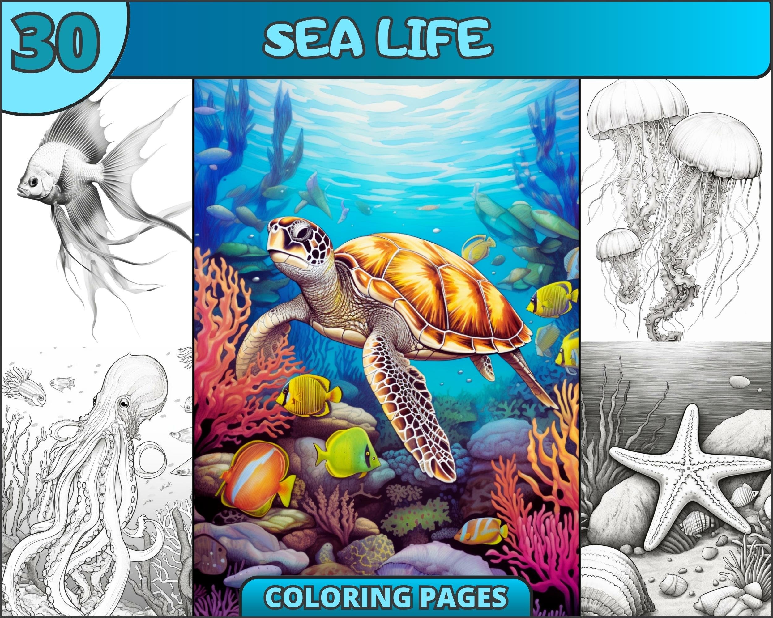 Big Coloring Sheet For Kids, Huge Coloring Sheets, 30 x 44 Coloring  Sheet, Sea Life Coloring, Homeschool Drawing