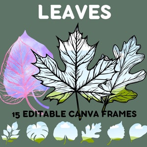 Herbst Canva Rahmen Blatt, Blätter Clipart Canva Vorlage, Monstera Pothos Ahornblatt bearbeitbarer Clip Art benutzerdefinierter Canva Rahmen, Tropisches Grün png