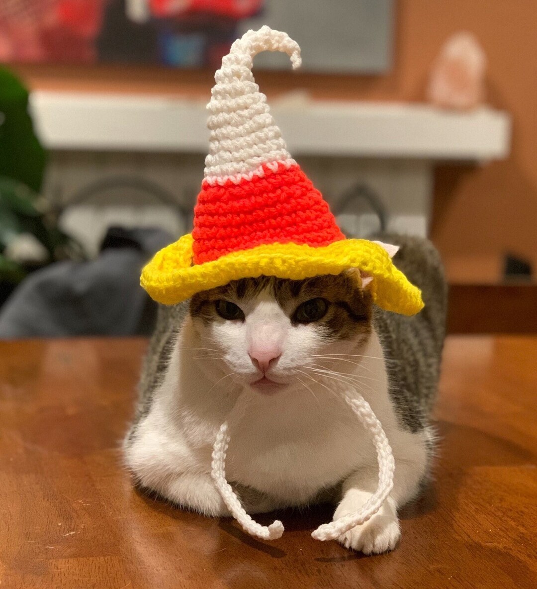 Whimsical Crochet Cat Hat, Witch Cat Hat, Halloween Cat Hat, Candy Corn Cat Hat, Crochet Pet Hat