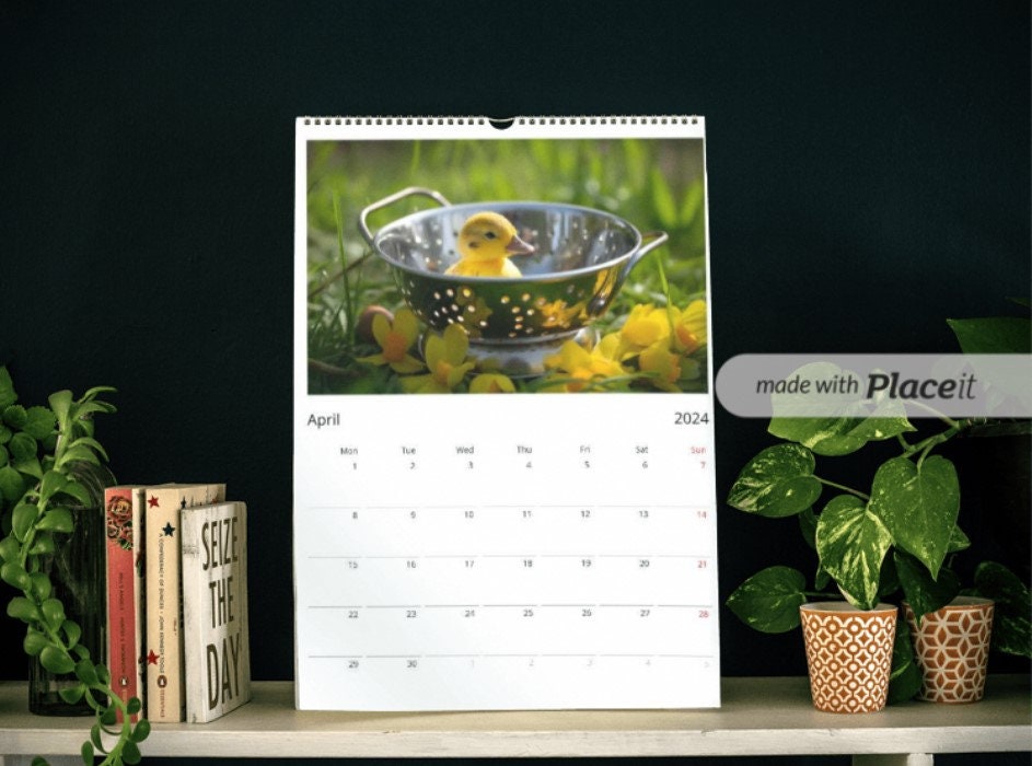 Europe / APAC Colander Calendar traditional Edition / Funny / Quirky / Christmas / Birthday