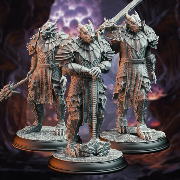 DM Stash: Dragonborn Warriors - Dragon Knight Squad (3 opties) Miniatuur/Figuur 32-75 mm - Hoge kwaliteit 8K 3D Print - Tafelblad, RPG