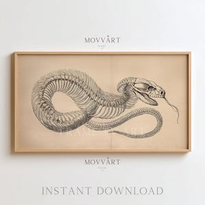 Puede incluir: Una impresión enmarcada con una ilustración detallada en blanco y negro de un esqueleto de serpiente. La obra de arte está sobre un fondo beige e incluye el texto "MOVvART" y "INSTANT DOWNLOAD". El marco es de color marrón claro.