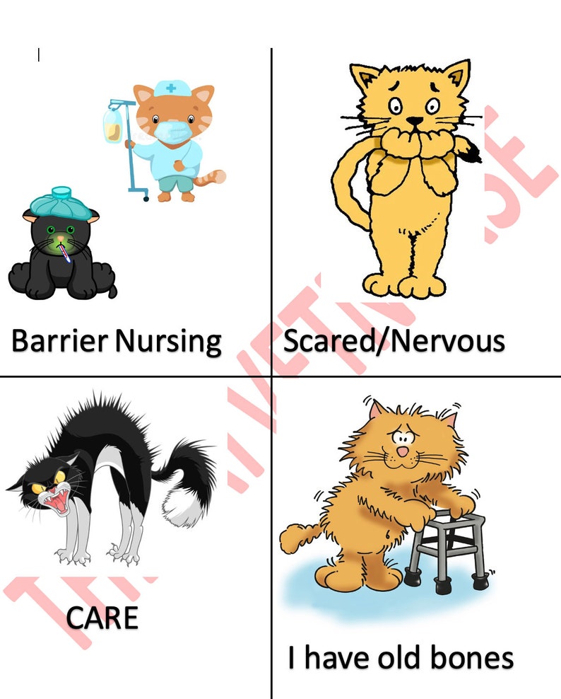 Veterinary Kennel Signs Etsy