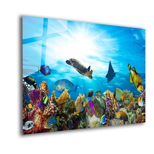 Tempered Glass Wall Art: Underwater Coral Reef Panoramic Print