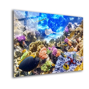 Aquarium Tempered Glass Wall Art: Mega Panoramic Coral Reef Print