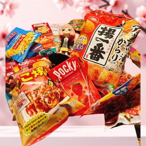 Seasonal Snack Surprise XL Japanese Treat Box with Gifts