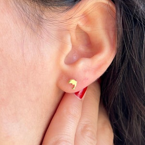 Dolphin Earrings • 14K Gold Plated • Animal Jewelry •925K Sterling Silver • Tiny Jewelry • Sea Animal Earrings • Minimalist Studs