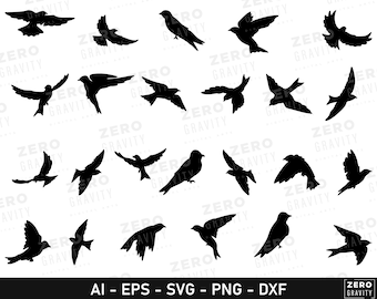 May include: A collection of black bird silhouettes in various flying poses against a white background. The image includes the text "ZERO GRAVITY" and file type abbreviations: AI, EPS, SVG, PNG, and DXF.