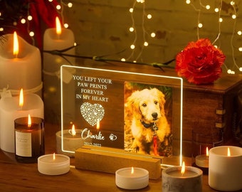 Personalized Custom Pet Photo Frame 3D Acrylic Lamp