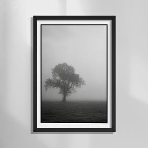 Può includere: Stampa con cornice nera raffigurante un albero solitario in un campo avvolto dalla nebbia. L'immagine in scala di grigi cattura la silhouette dell'albero su uno sfondo nebbioso, creando un paesaggio sereno. L'opera è montata in una cornice nera.