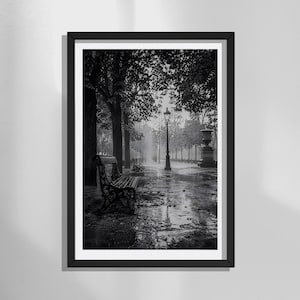 Può includere: Una stampa artistica da parete incorniciata in bianco e nero che raffigura una scena di parco piovoso con una panchina in ferro battuto in primo piano, un alto lampione e alberi lungo un sentiero bagnato. La composizione ha toni contrastati.