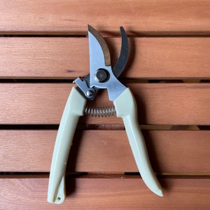 Pruning Shears
