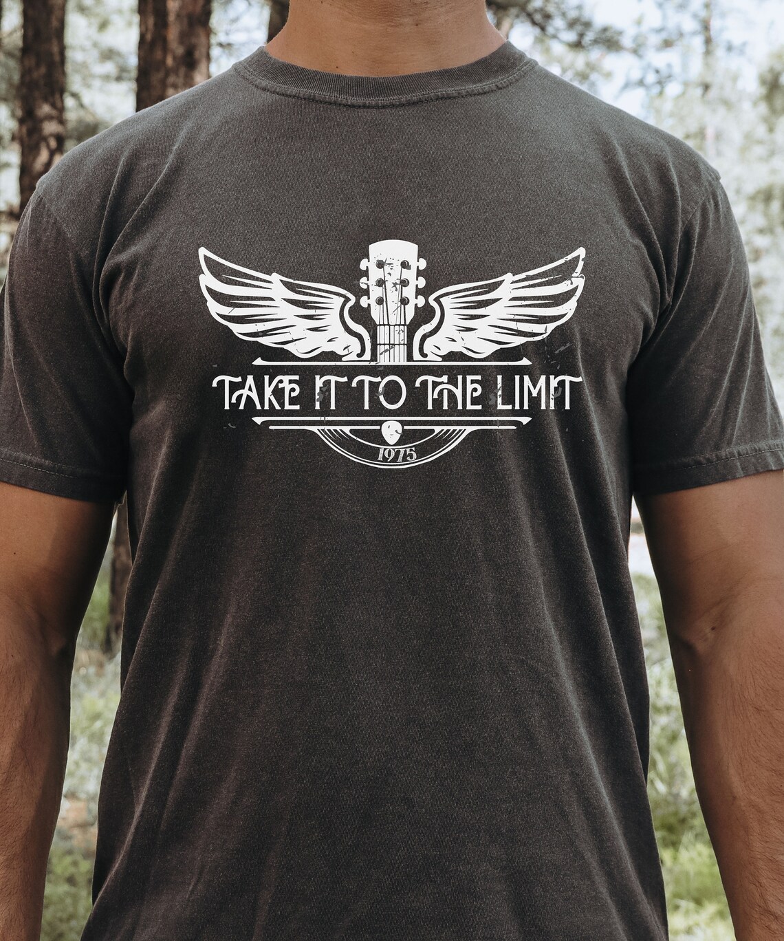Take it to the limit shirt comfort colors vintage t shirt etsy