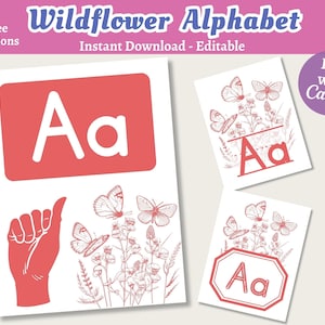 Carteles A-Z del alfabeto de flores silvestres, carteles del alfabeto ASL, carteles de aprendizaje de letras, decoración de la escuela en el hogar, carteles de decoración del aula de mariposas florales