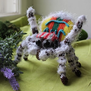 Crochet Pattern Peacock Spider Maratus Volans Crochet Pattern Jumping Spider Salticidae Peacock Spider Jumping Spider Crochet Pattern Crochet Pattern