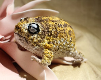 Crochet Pattern Desert Rain Frog Breviceps Macrops Grumpy Frog Desert Rain Frog Rain Frog Angry Frog Crochet Instructions Crochet Pattern