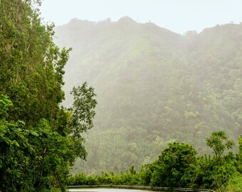 Maui Roads Digitale Fotodatei