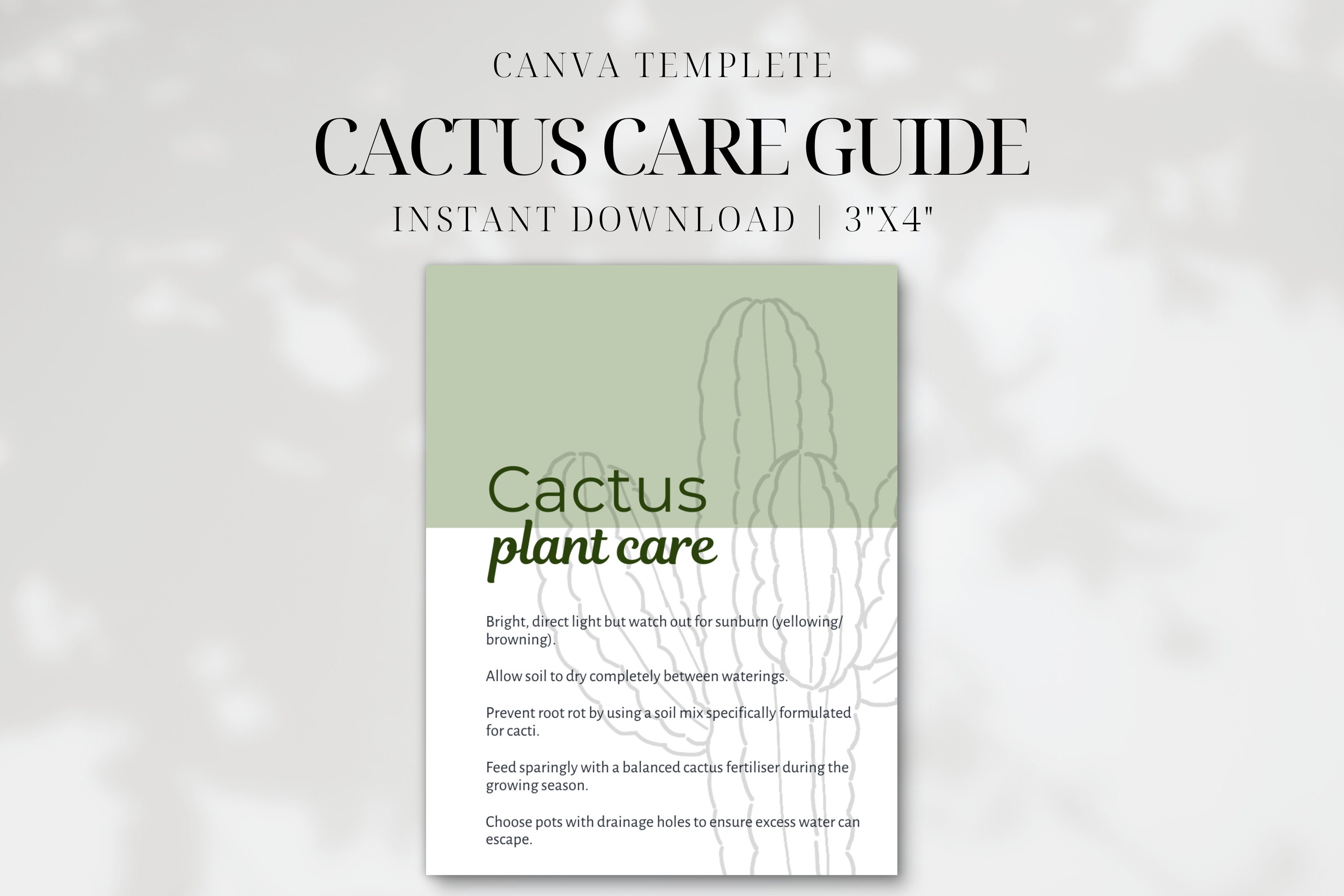 Editable Cactus Care Guide • Cactus Care Instruction Card • Canva ...