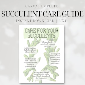 Guía de cuidados de suculentas para imprimir • Tarjeta con instrucciones para el cuidado de cactus y suculentas • Plantilla editable de Canva • Inserto de pedido de tienda de plantas