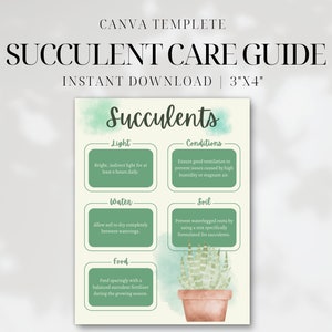 Afdrukbare gids voor het verzorgen van vetplanten • Instructiekaart voor het verzorgen van cactussen en vetplanten • Bewerkbaar canvassjabloon • Bijsluiter voor plantenwinkelbestelling