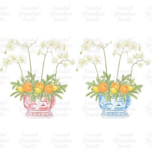 May include: Two floral arrangements in blue and white porcelain vases. Each vase is filled with white orchids, green foliage, and yellow lemons and orange citrus fruits.