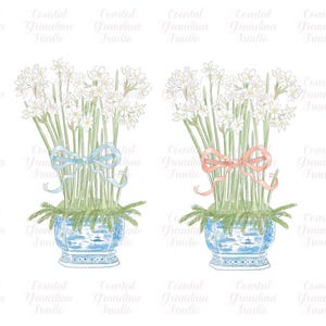 May include: Two arrangements of white paper narcissus flowers in blue and white porcelain vases with blue and pink ribbons. The flowers are in a watercolor style.