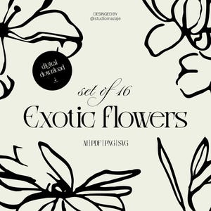 Handgetekende lijn exotische bloemen, vectorillustraties, minimalistische bloemenillustratie, zwart-witkunst, botanische schets
