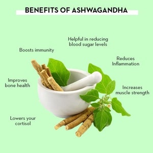 Peut inclure: Avantages de l'ashwagandha : un mortier et un pilon blancs avec des feuilles vertes et des racines brunes. Le texte sur l'image est le suivant : "Avantages de l'ashwagandha", "Aide &agrave; r&eacute;duire le taux de sucre dans le sang", "Renforce l'immunit&eacute;", "R&eacute;duit l'inflammation", "Am&eacute;liore la sant&eacute; osseuse", "R&eacute;duit le cortisol", "Augmente la force musculaire".