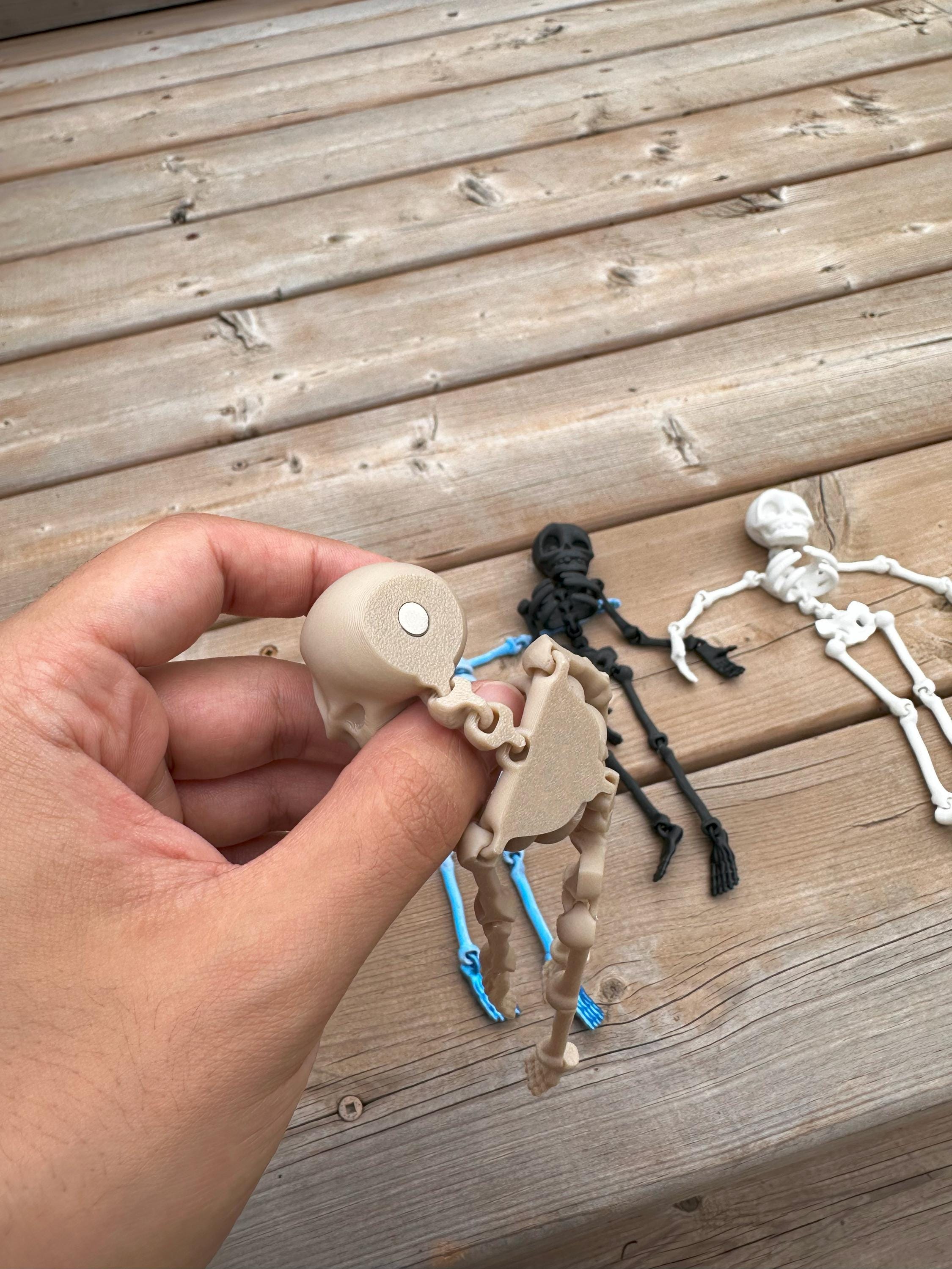 2 Pack: Skeleton Magnetic Articulating Halloween Decoration | Fidget Toy | Fridge Magnet | 3D print | Spooky Season | Bookshelf Decor